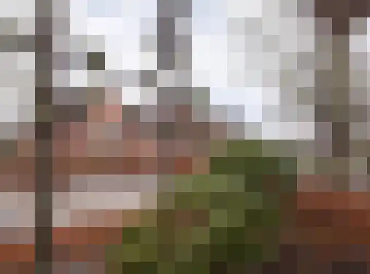 Graspieper 30 Etten-Leur thumbnail 35