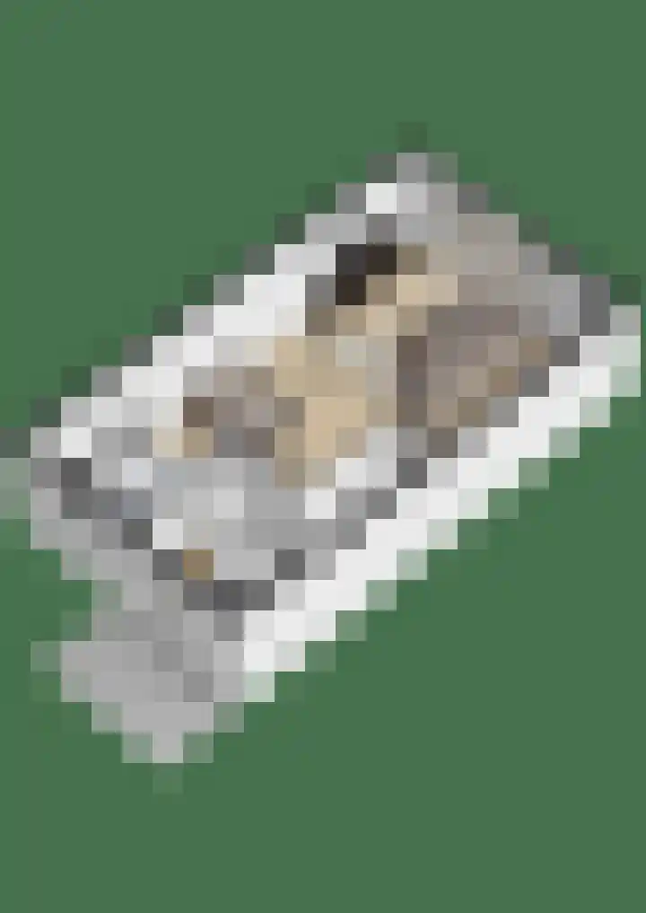 Graspieper 30 Etten-Leur thumbnail 37