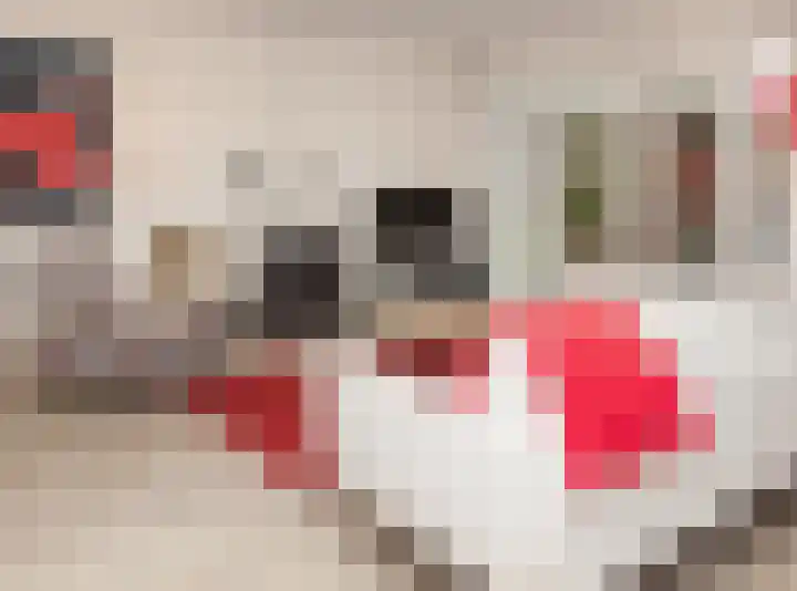 Graspieper 30 Etten-Leur thumbnail 8