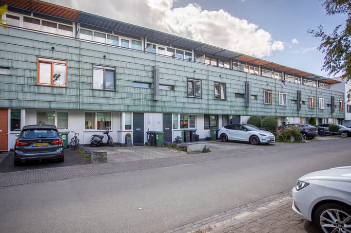 Grasplant 36 in Eindhoven foto