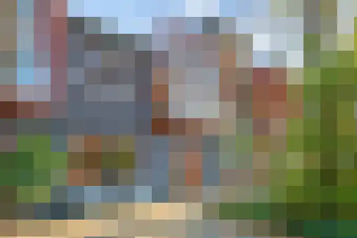 Grassavanne 10 in Eindhoven