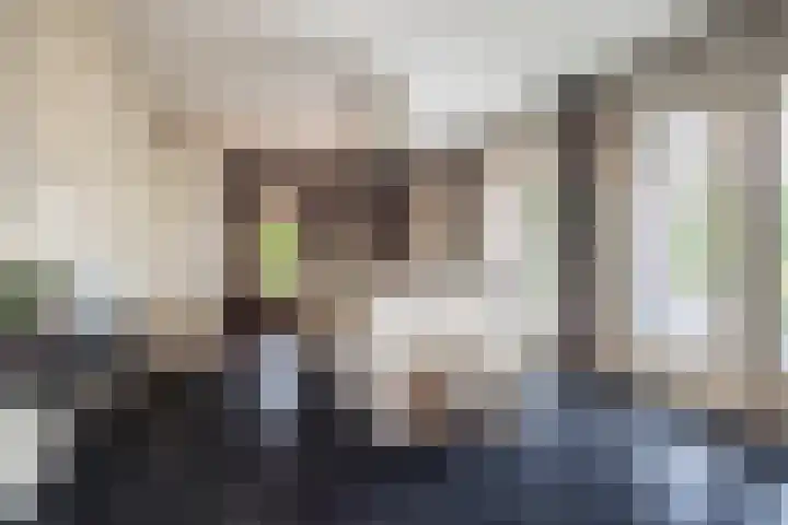 Grassavanne 108 Eindhoven thumbnail 11