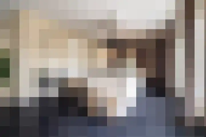 Grassavanne 108 Eindhoven thumbnail 12