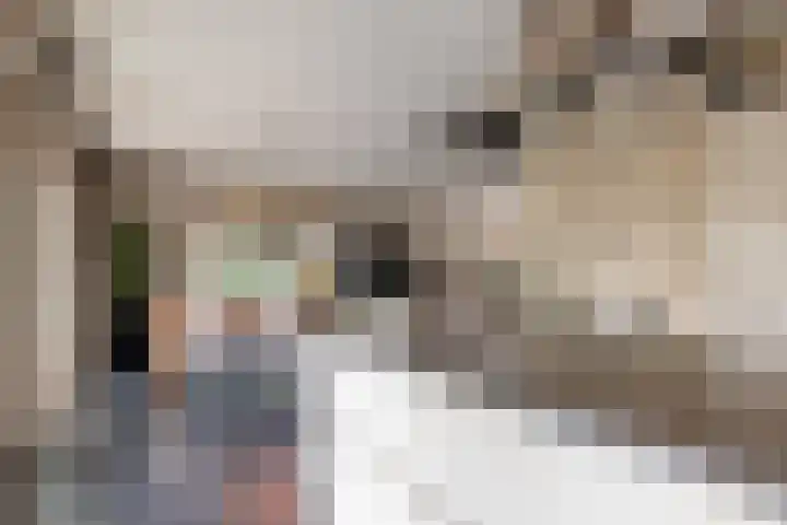 Grassavanne 108 Eindhoven thumbnail 14