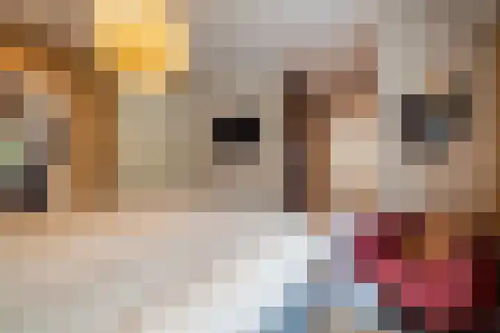 Grassavanne 108 Eindhoven thumbnail 20