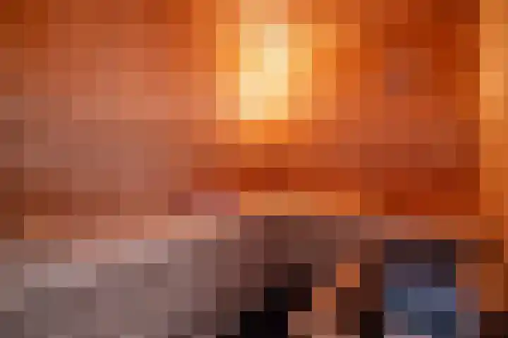 Grassavanne 108 Eindhoven thumbnail 26