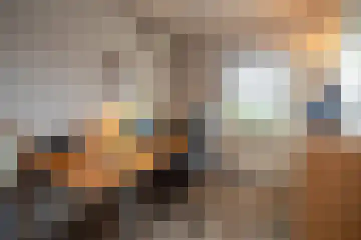 Grassavanne 108 Eindhoven thumbnail 28