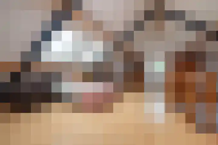 Grassavanne 108 Eindhoven thumbnail 30