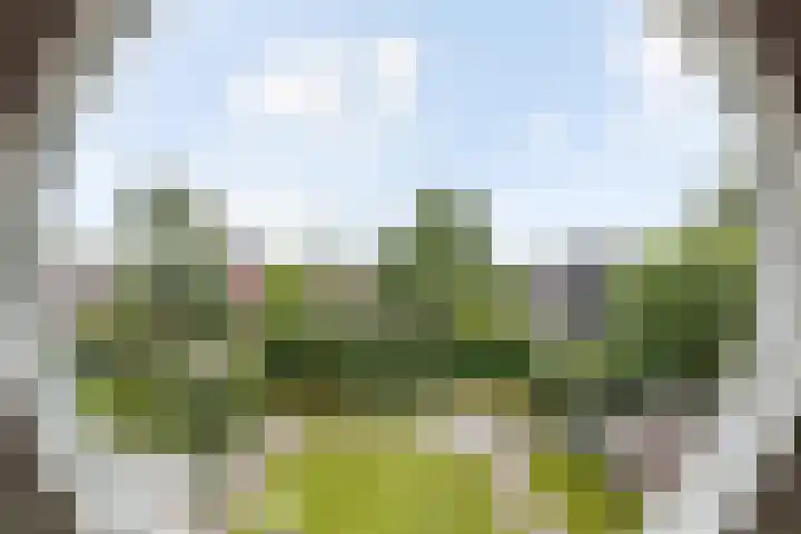 Grassavanne 108 Eindhoven thumbnail 31