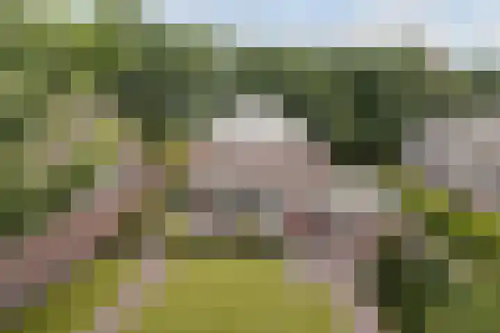 Grassavanne 108 Eindhoven thumbnail 33