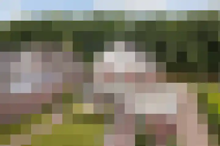 Grassavanne 108 Eindhoven thumbnail 34