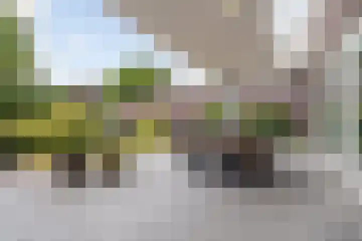 Grassavanne 108 Eindhoven thumbnail 35