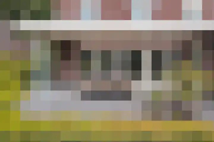 Grassavanne 108 Eindhoven thumbnail 37