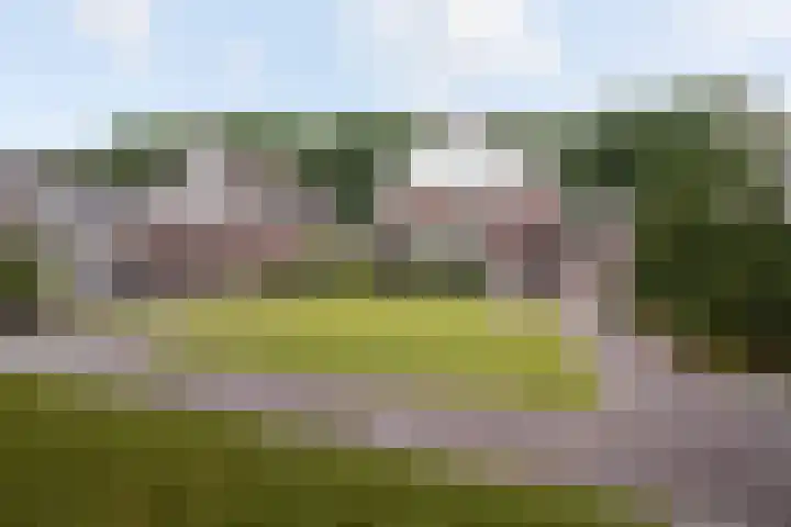 Grassavanne 108 Eindhoven thumbnail 38