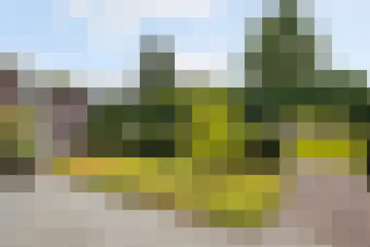 Grassavanne 108 Eindhoven thumbnail 39