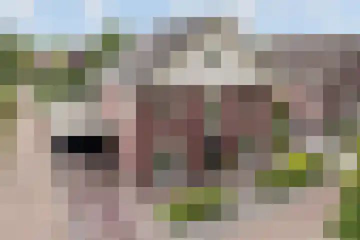 Grassavanne 108 Eindhoven thumbnail 4