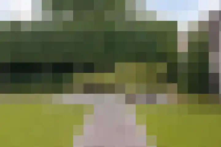 Grassavanne 108 Eindhoven thumbnail 40
