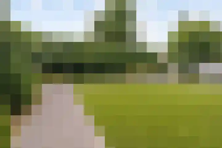 Grassavanne 108 Eindhoven thumbnail 41