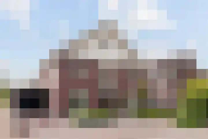 Grassavanne 108 Eindhoven thumbnail 42