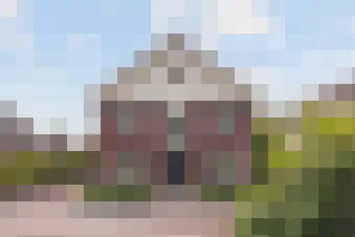 Grassavanne 108 Eindhoven thumbnail 43