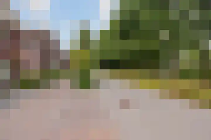 Grassavanne 108 Eindhoven thumbnail 44
