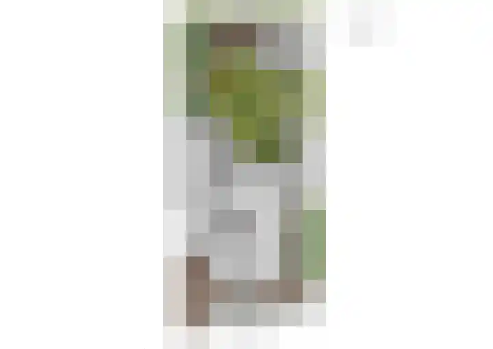 Grassavanne 108 Eindhoven thumbnail 50