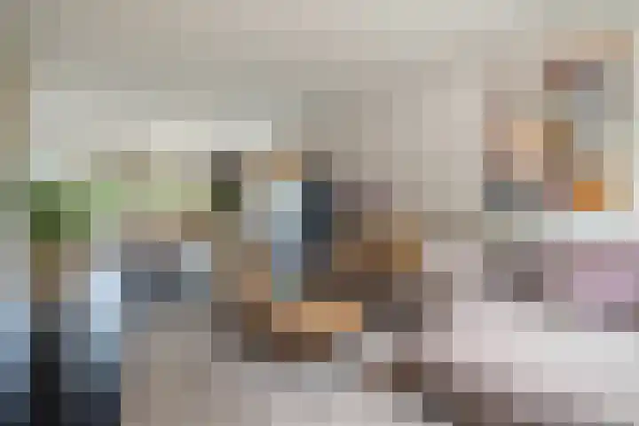 Grassavanne 108 Eindhoven thumbnail 8