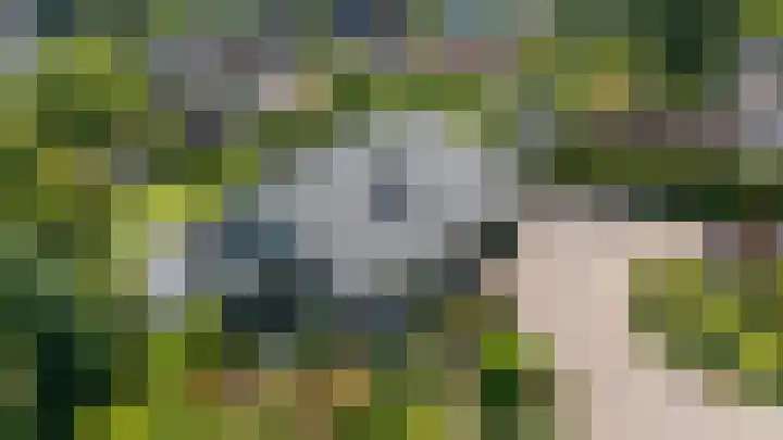 Grassijsje 7 Eindhoven thumbnail 19