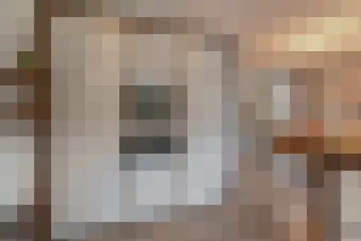 Grassijsje 7 Eindhoven thumbnail 21