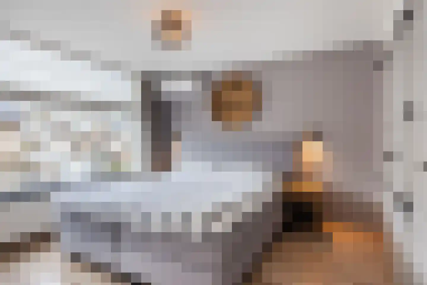 Grassijsje 7 Eindhoven thumbnail 24