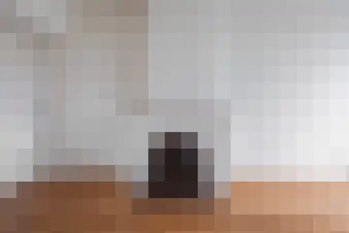 Grassijsje 7 Eindhoven thumbnail 28