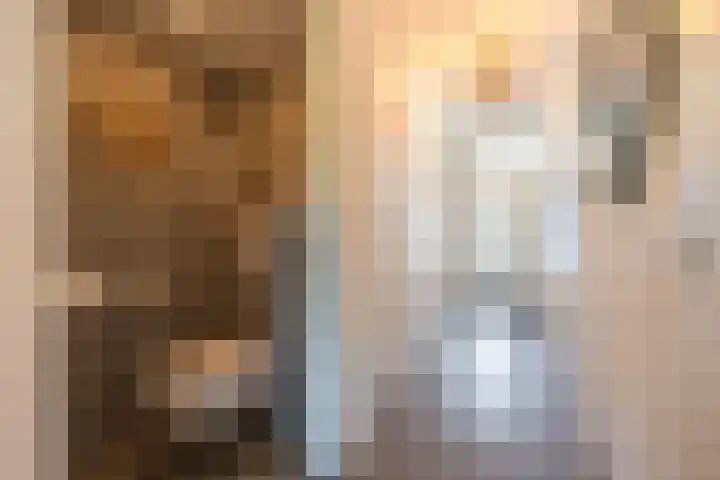 Grassijsje 7 Eindhoven thumbnail 34