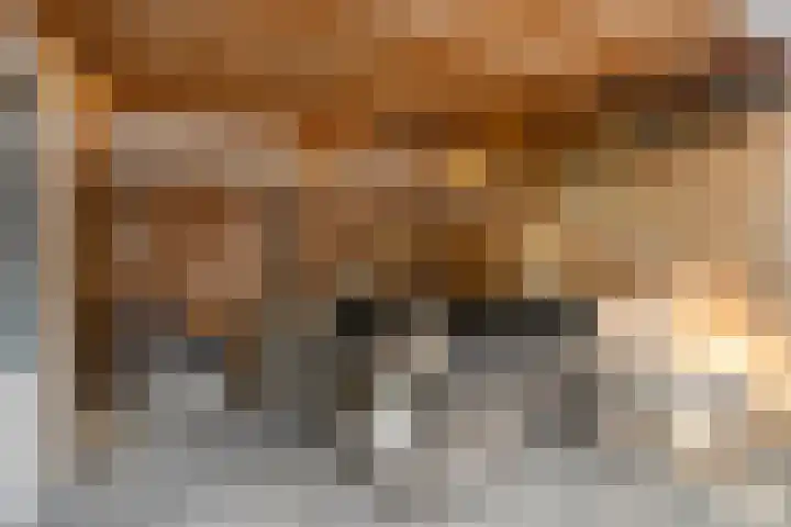 Grassijsje 7 Eindhoven thumbnail 40