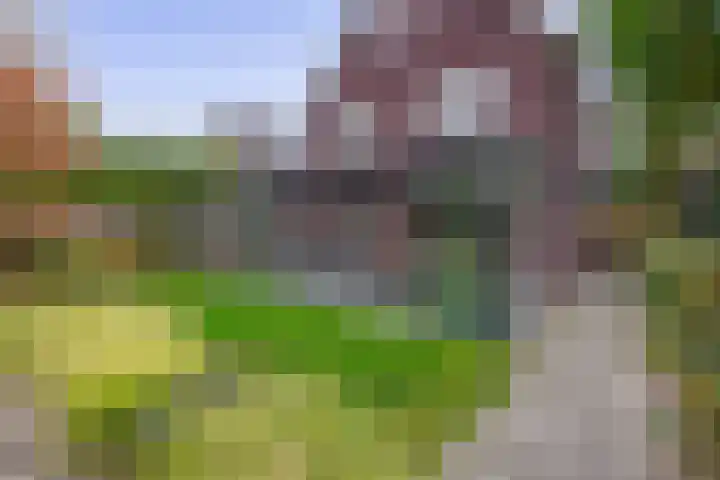 Grassijsje 7 Eindhoven thumbnail 43