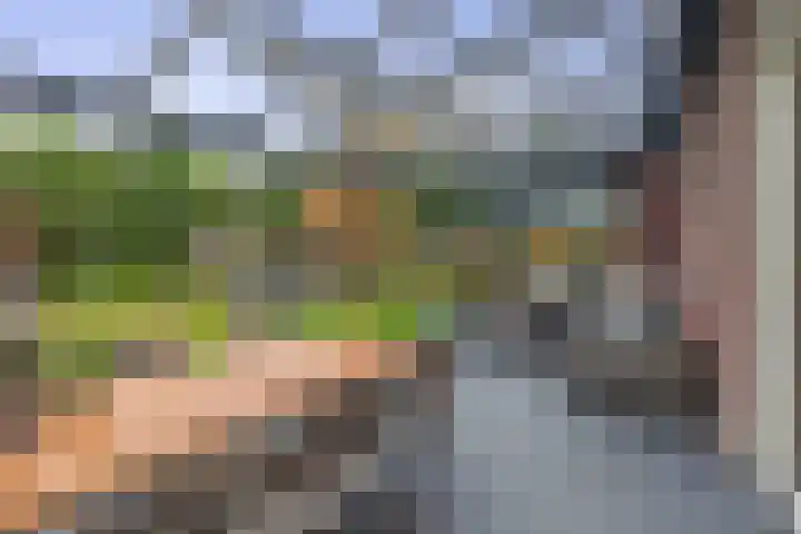 Grassijsje 7 Eindhoven thumbnail 44