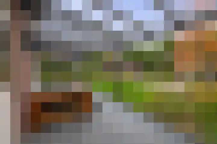 Grassijsje 7 Eindhoven thumbnail 46