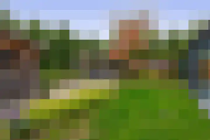 Grassijsje 7 Eindhoven thumbnail 48