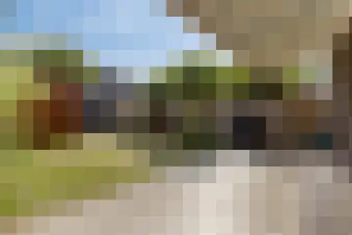 Grassnip 12 Eindhoven thumbnail 31