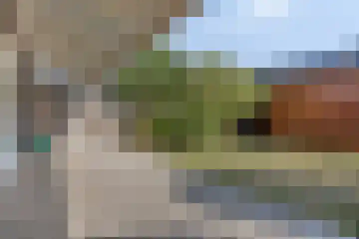 Grassnip 12 Eindhoven thumbnail 32