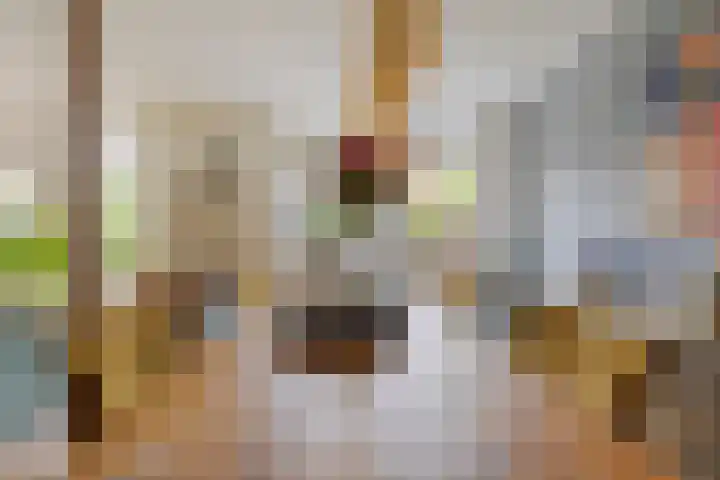 Grassnip 38 Eindhoven thumbnail 16