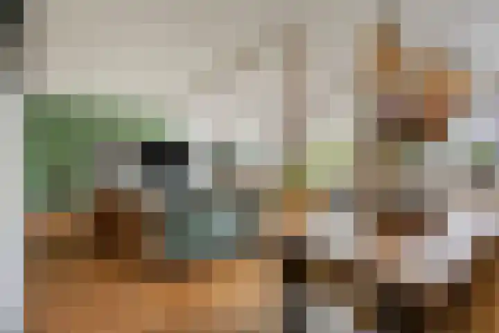 Grassnip 38 Eindhoven thumbnail 17
