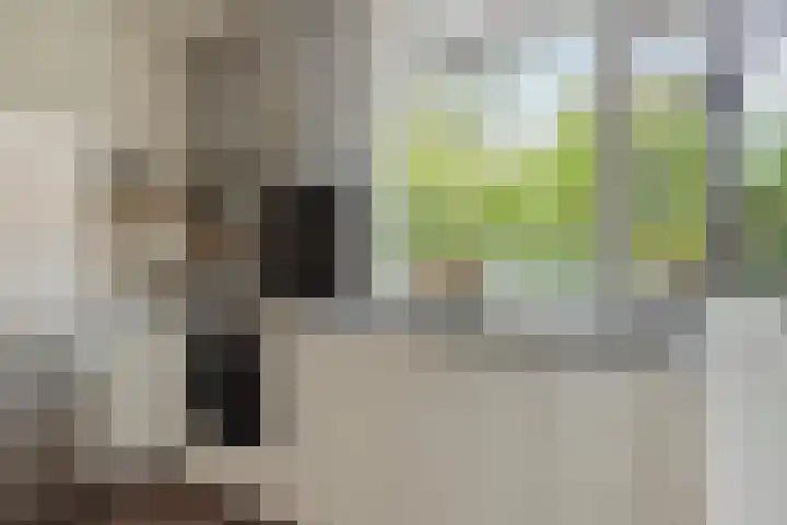 Grassnip 38 Eindhoven thumbnail 26