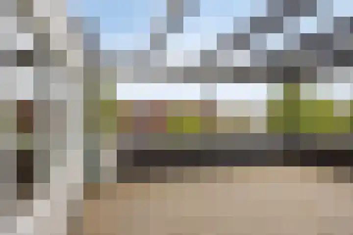 Grassnip 38 Eindhoven thumbnail 38