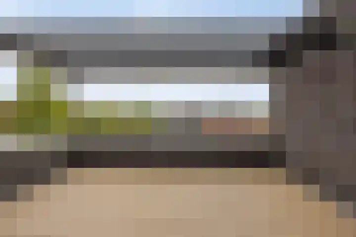 Grassnip 38 Eindhoven thumbnail 39