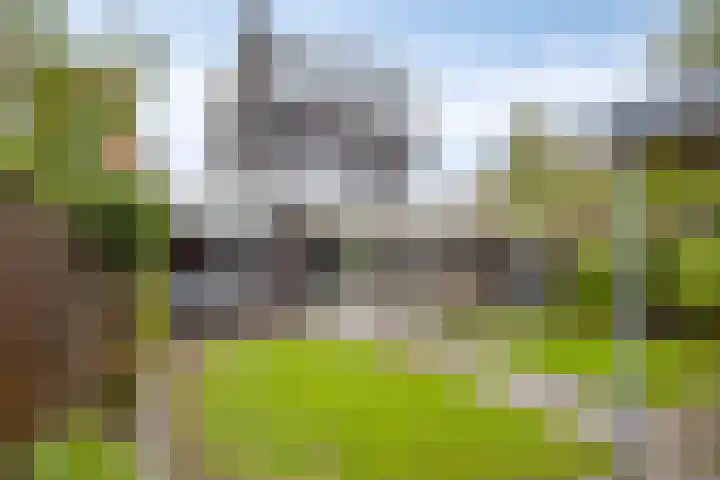 Grassnip 38 Eindhoven thumbnail 4