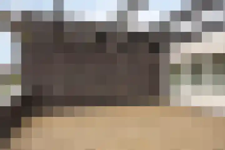 Grassnip 38 Eindhoven thumbnail 41