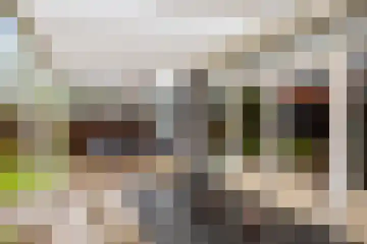 Grassnip 38 Eindhoven thumbnail 44