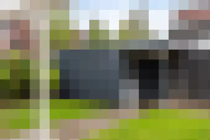 Grassnip 38 Eindhoven thumbnail 47