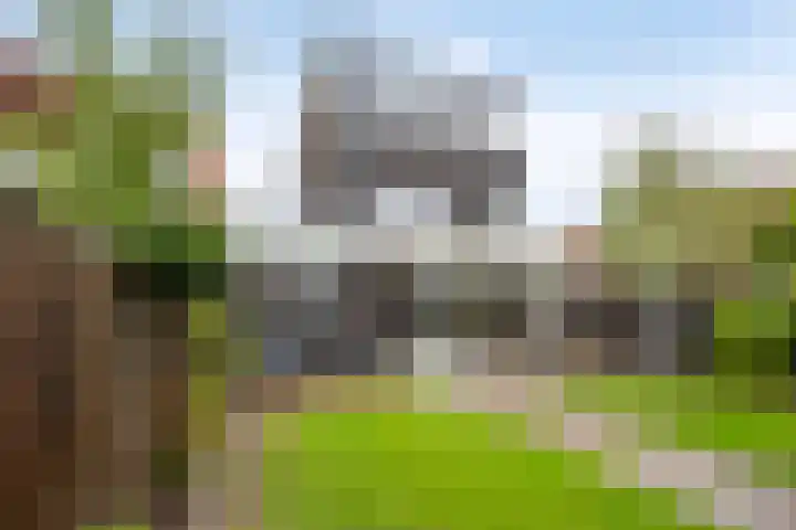 Grassnip 38 Eindhoven thumbnail 49