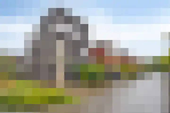 Grassnip 38 Eindhoven thumbnail 5